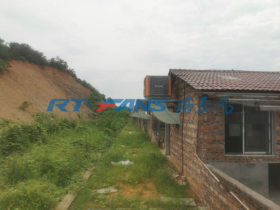 豬場降溫,濕簾冷風(fēng)機,環(huán)?？照{(diào)