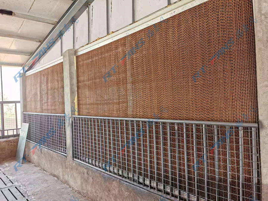 養(yǎng)豬場降溫,濕簾,負(fù)壓風(fēng)機